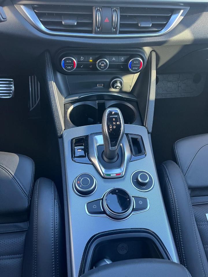 Alfa Romeo Alfa Romeo Stelvio usata 10