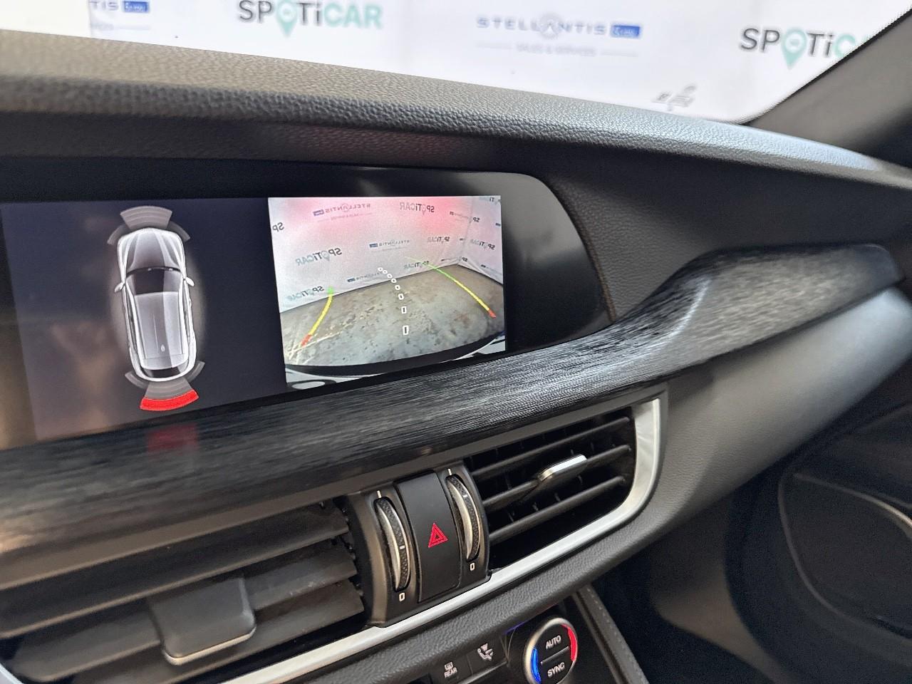 Alfa Romeo Alfa Romeo Stelvio usata 6