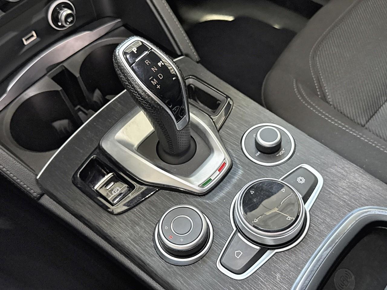 Alfa Romeo Alfa Romeo Stelvio usata 8