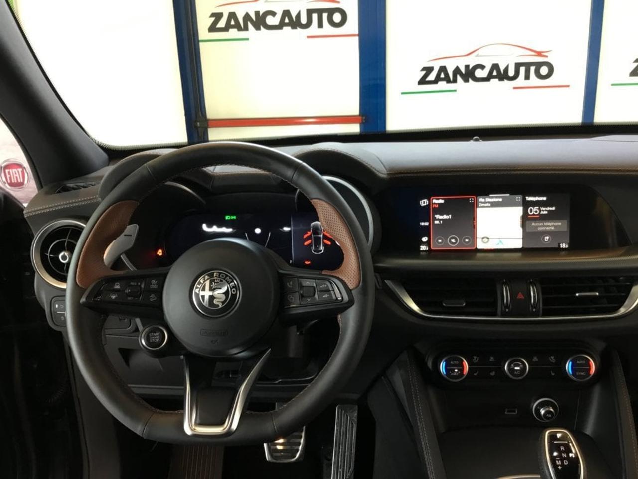 Alfa Romeo Alfa Romeo Stelvio usata 5