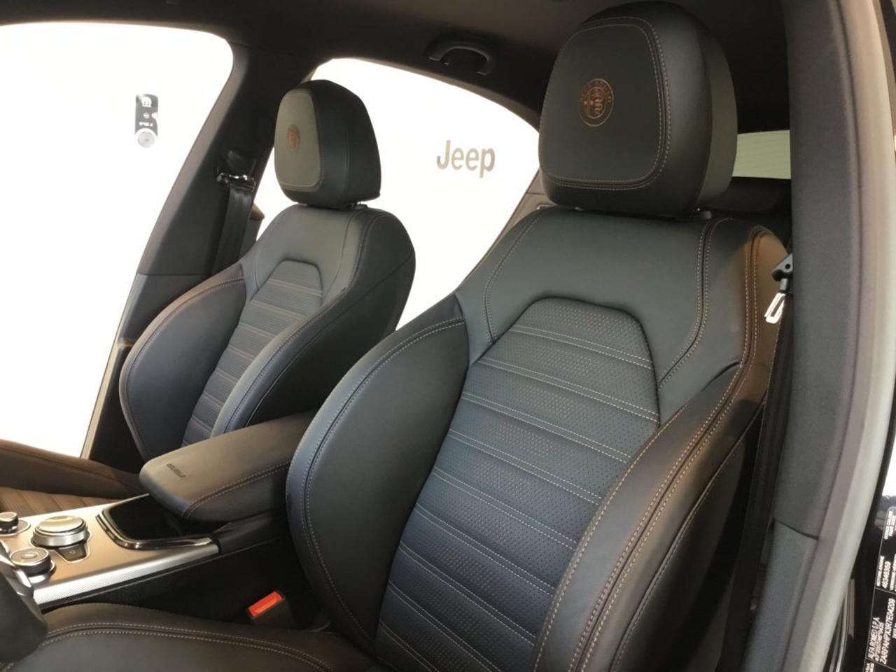 Alfa Romeo Alfa Romeo Stelvio usata 10