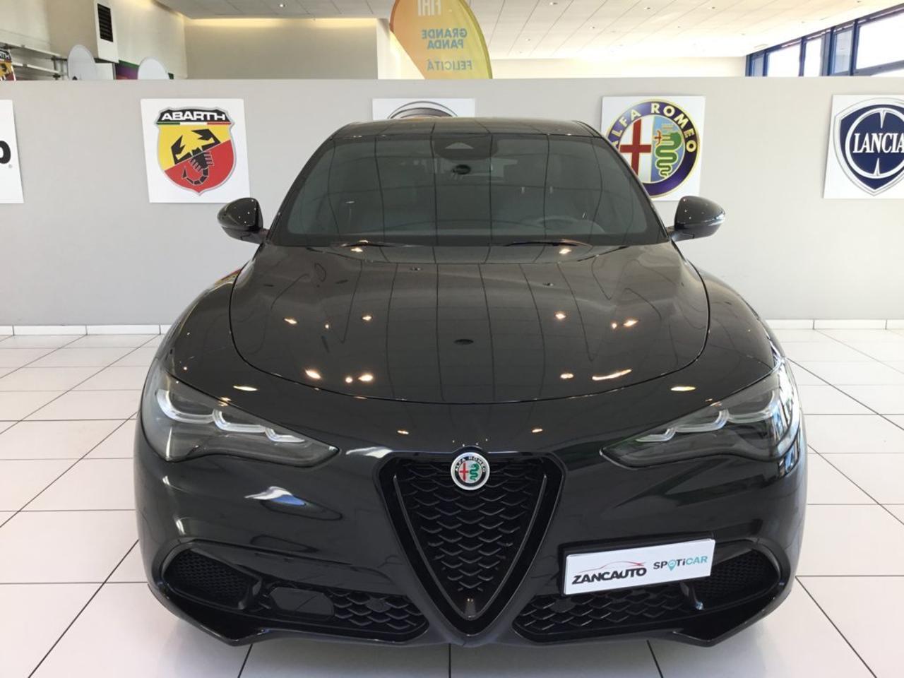Alfa Romeo Alfa Romeo Stelvio usata 18