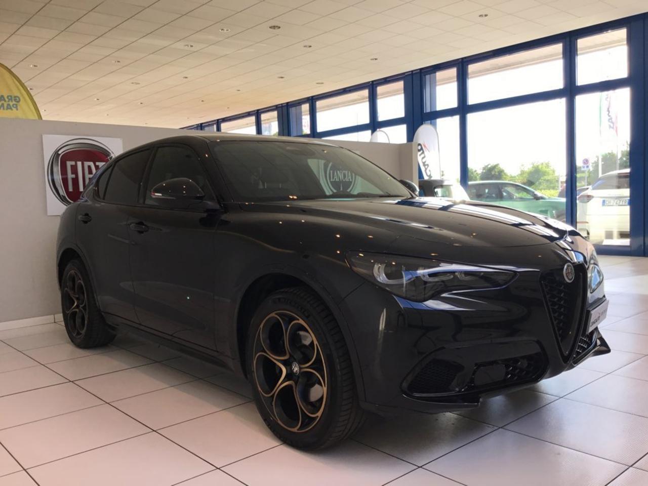 Alfa Romeo Alfa Romeo Stelvio usata 19