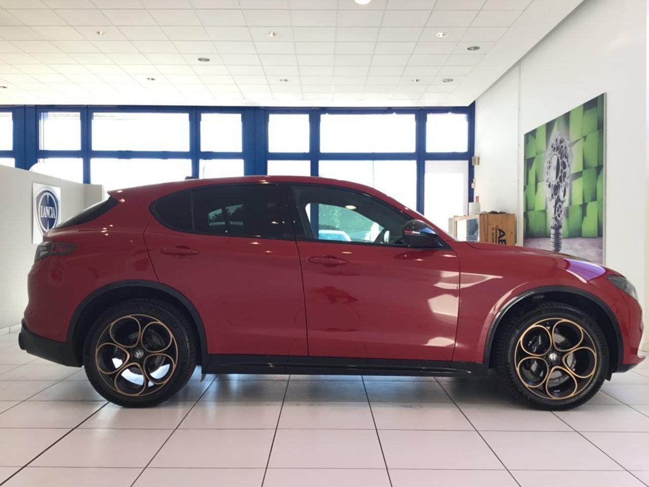 Alfa Romeo Alfa Romeo Stelvio usata 11