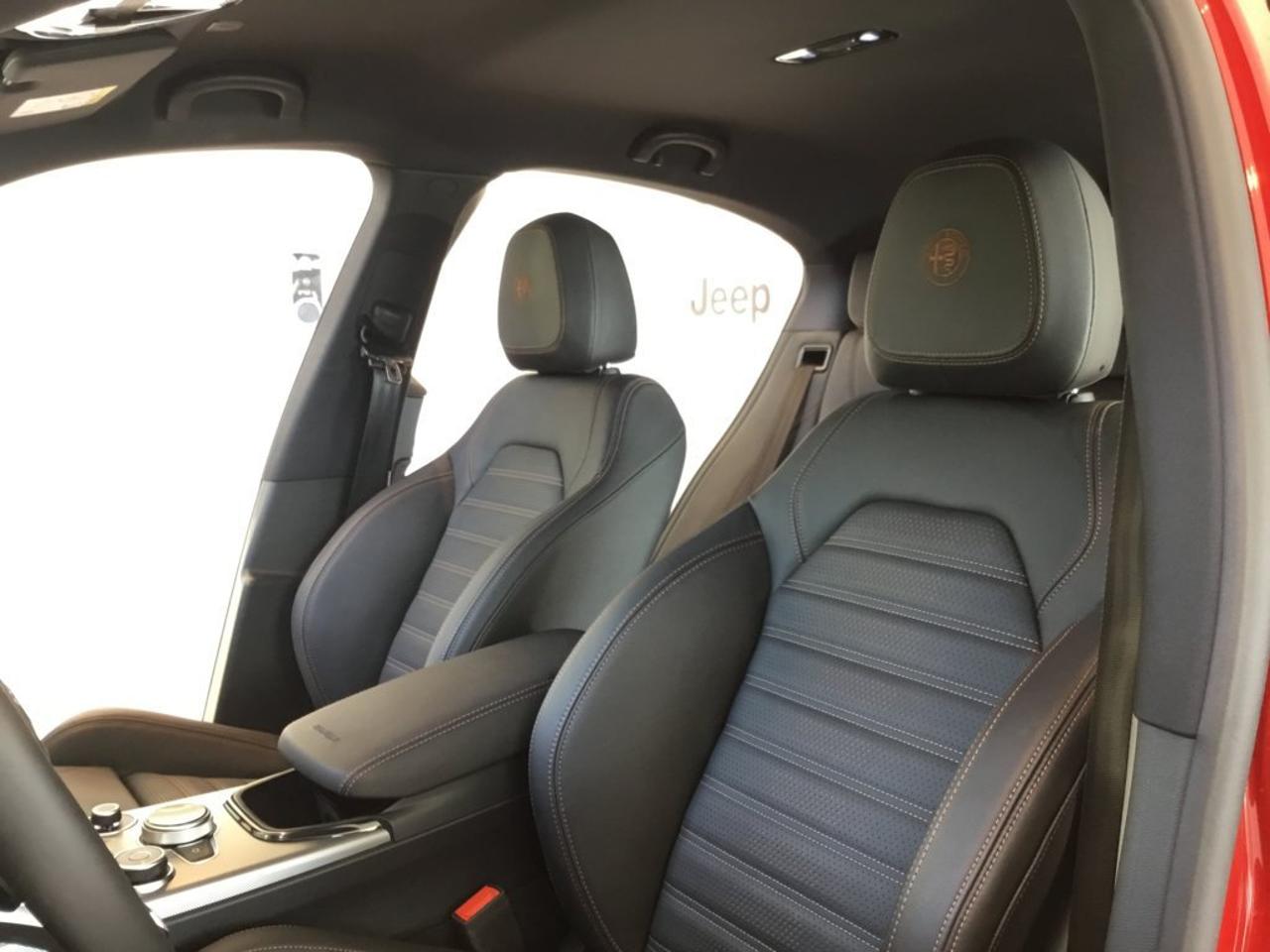 Alfa Romeo Alfa Romeo Stelvio usata 12