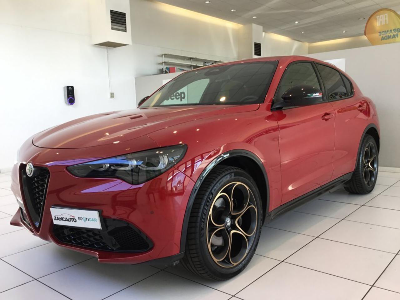 Alfa Romeo Alfa Romeo Stelvio usata 17
