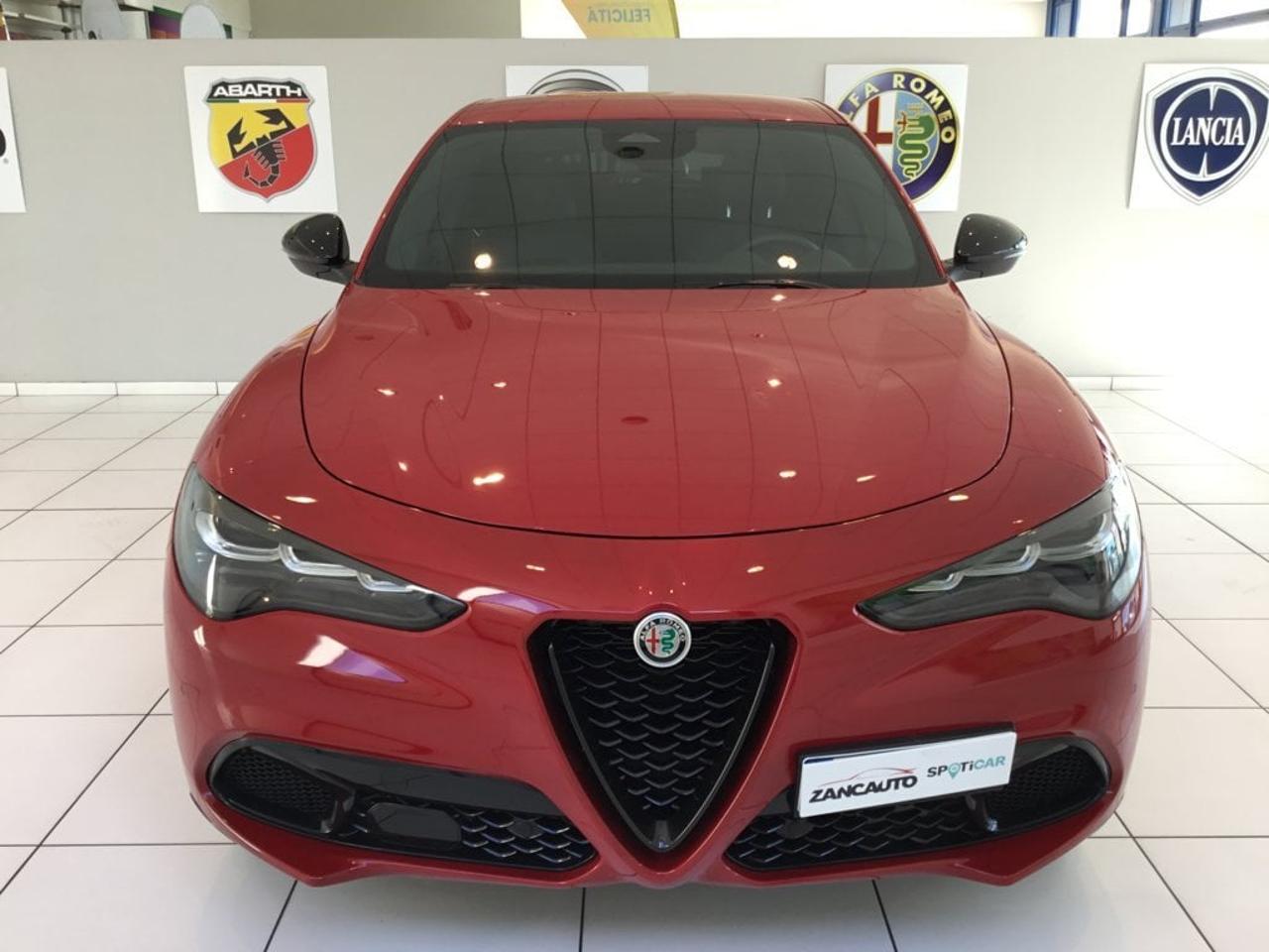 Alfa Romeo Alfa Romeo Stelvio usata 18