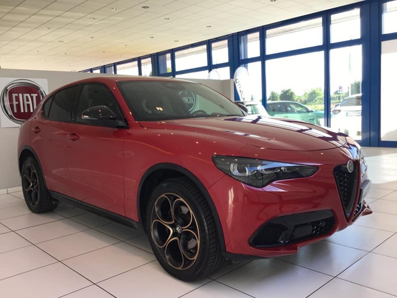 Alfa Romeo Alfa Romeo Stelvio usata 19