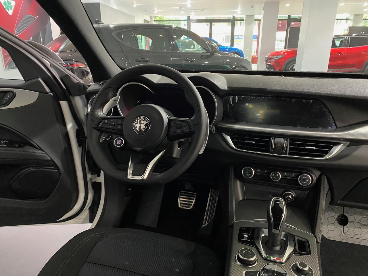 Alfa Romeo Alfa Romeo Stelvio usata 3