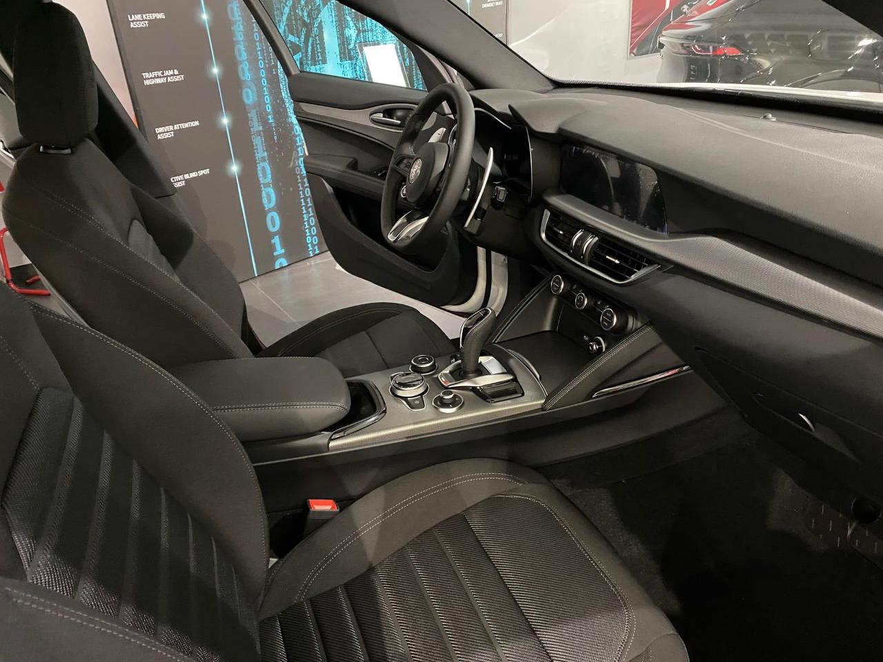 Alfa Romeo Alfa Romeo Stelvio usata 5