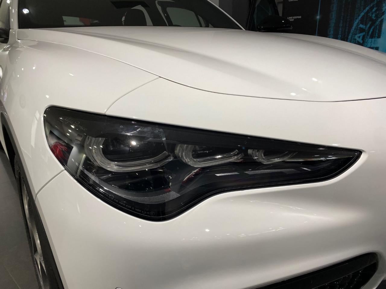 Alfa Romeo Alfa Romeo Stelvio usata 7