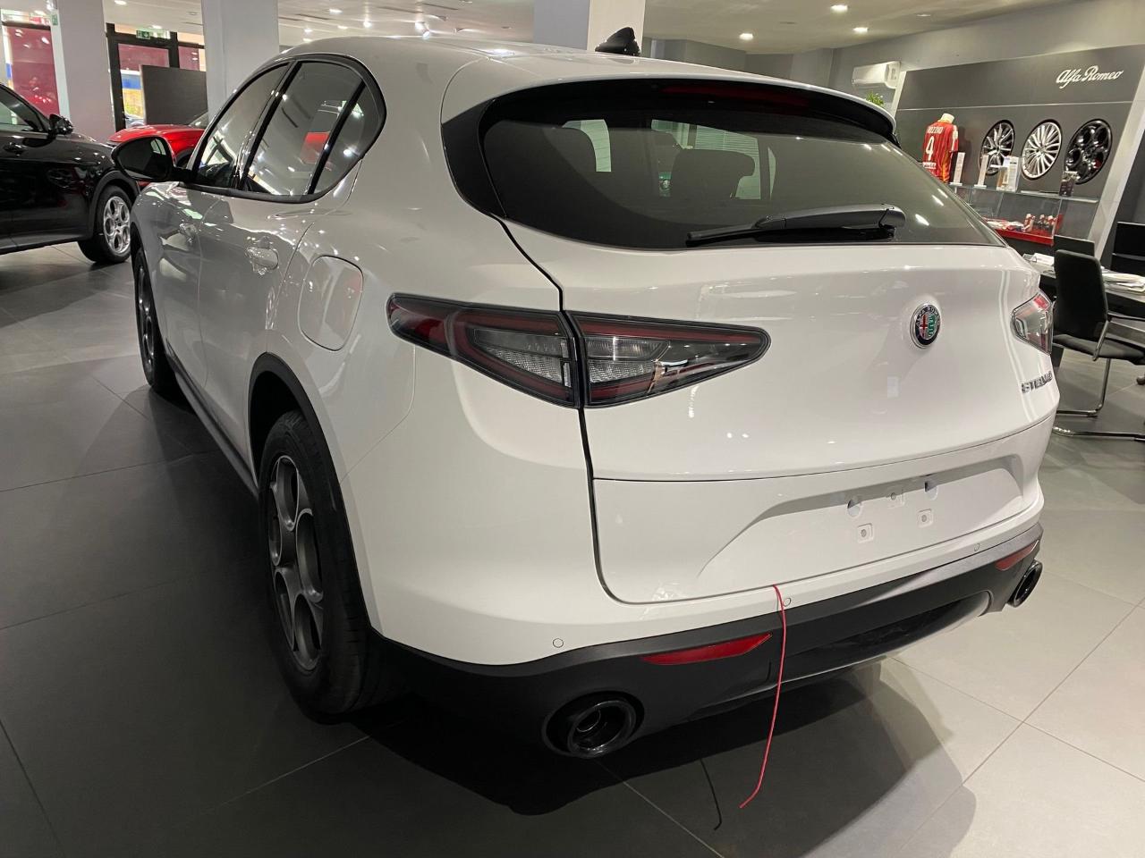Alfa Romeo Alfa Romeo Stelvio usata 11