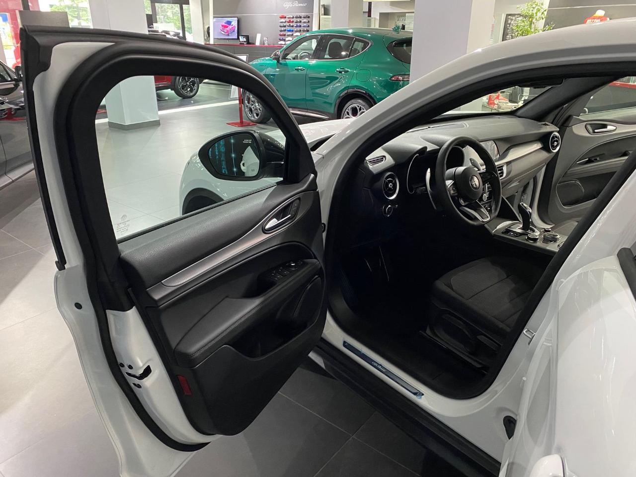 Alfa Romeo Alfa Romeo Stelvio usata 13