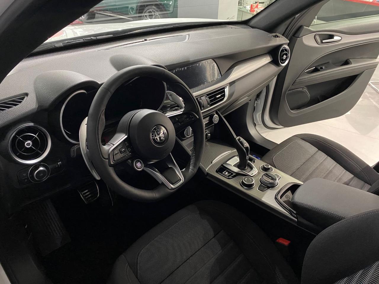 Alfa Romeo Alfa Romeo Stelvio usata 14