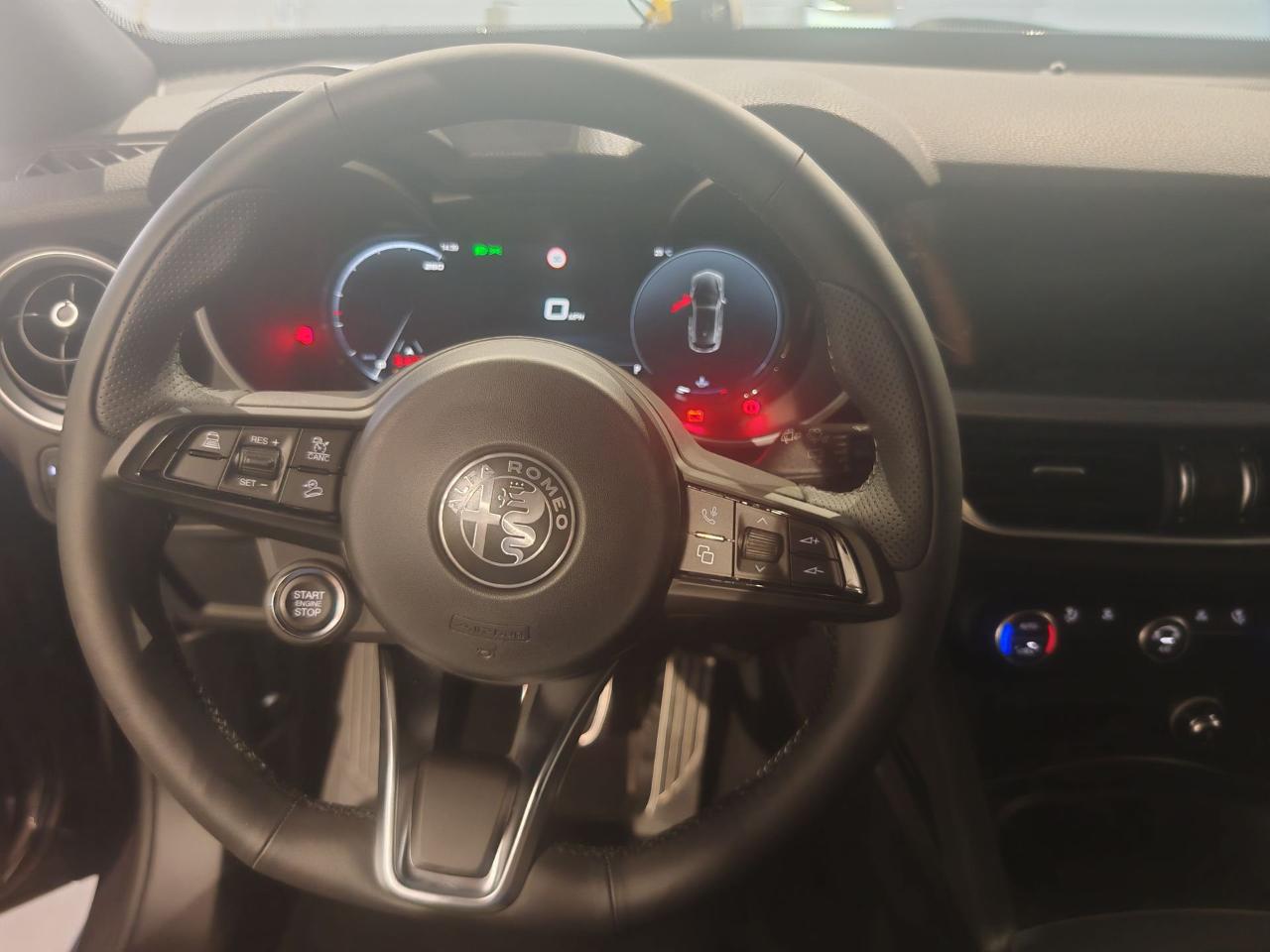 Alfa Romeo Alfa Romeo Stelvio usata 2