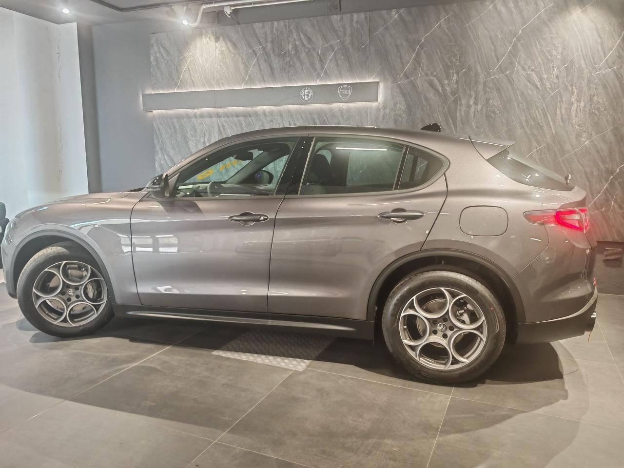 Alfa Romeo Alfa Romeo Stelvio usata 15