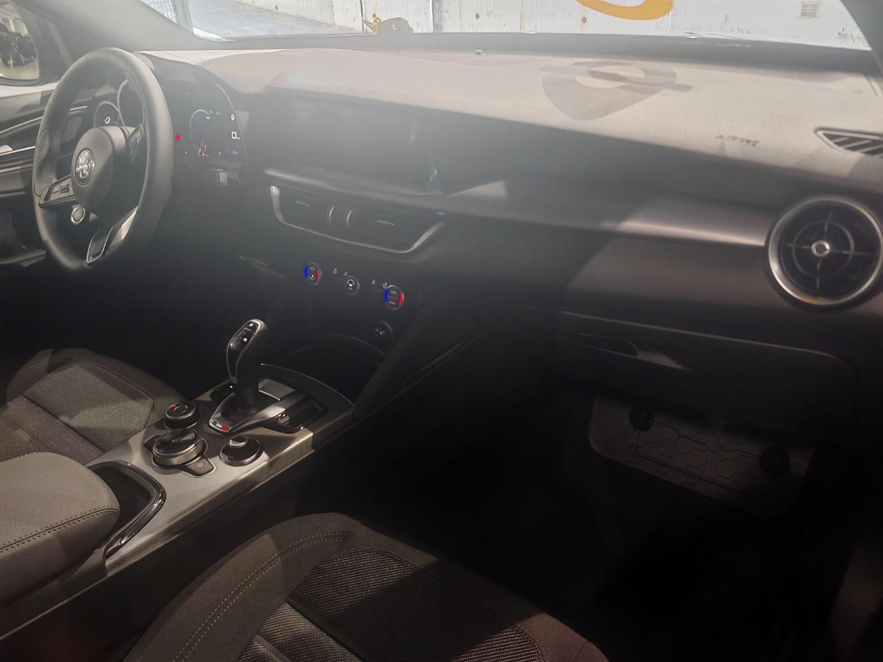 Alfa Romeo Alfa Romeo Stelvio usata 17