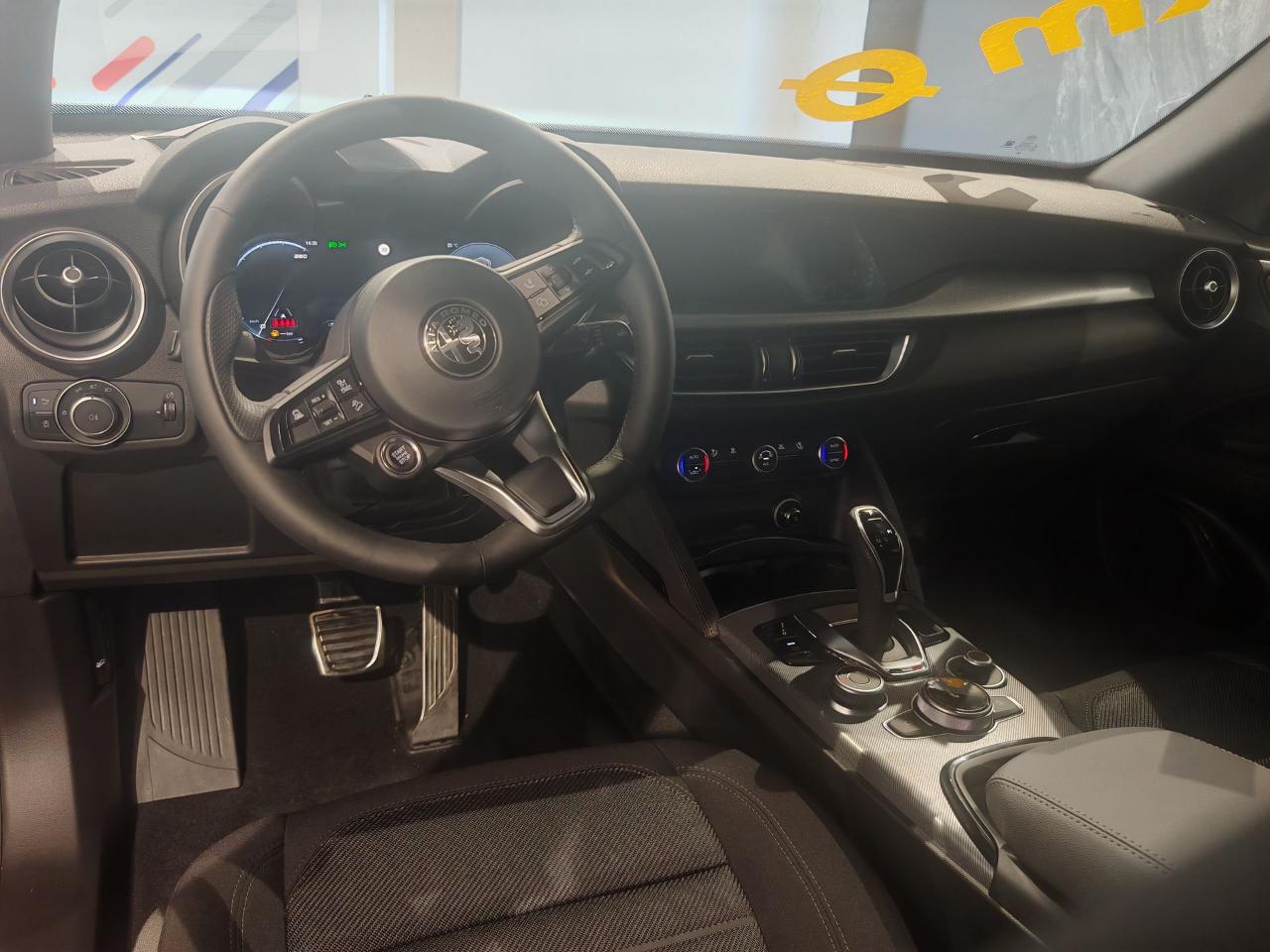 Alfa Romeo Alfa Romeo Stelvio usata 19