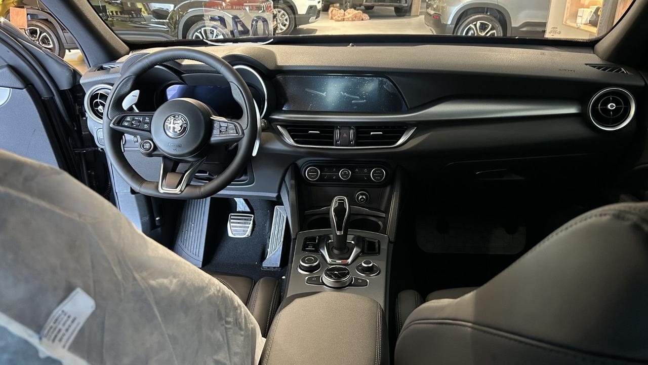 Alfa Romeo Alfa Romeo Stelvio usata 6