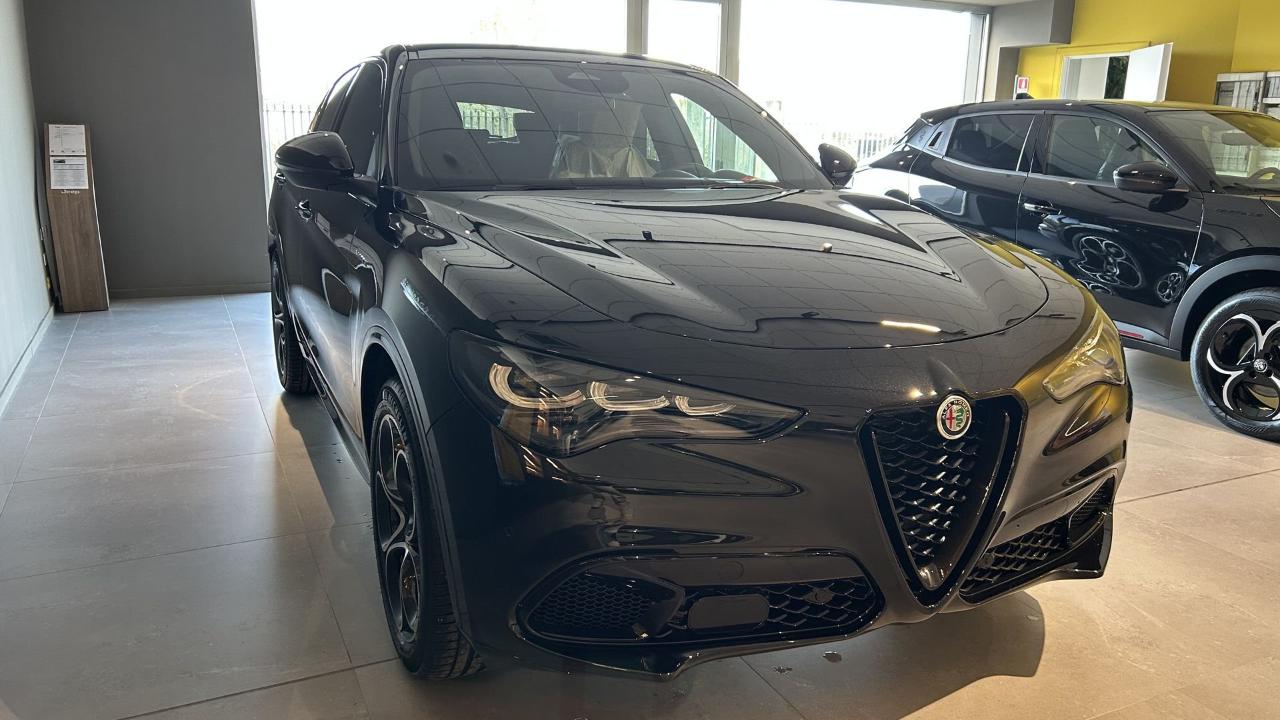 Alfa Romeo Alfa Romeo Stelvio usata 12