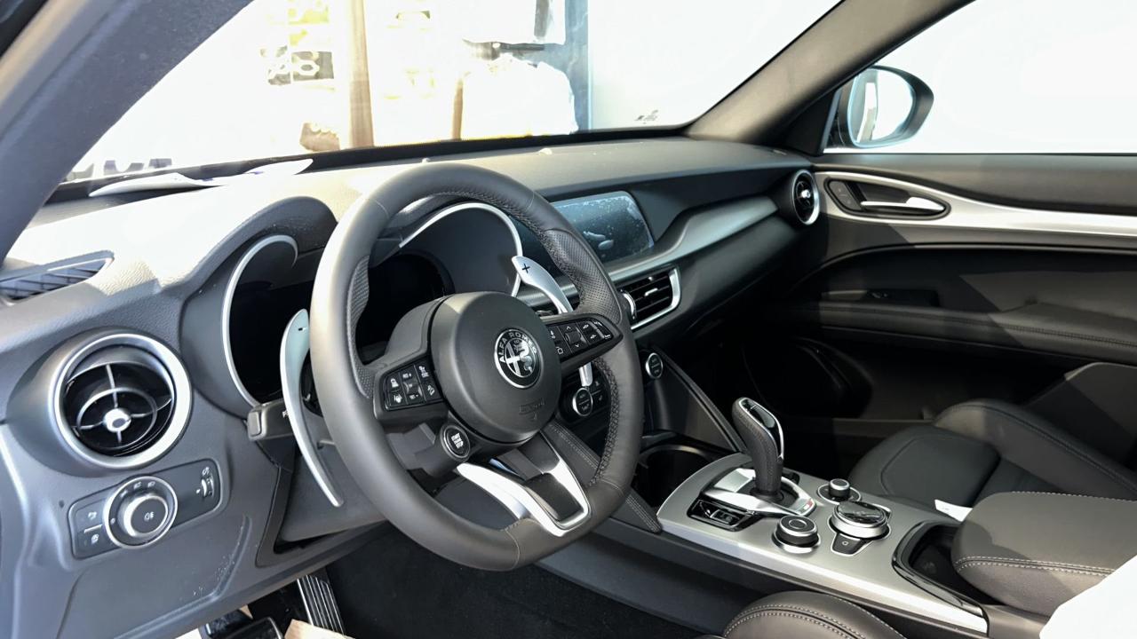 Alfa Romeo Alfa Romeo Stelvio usata 13