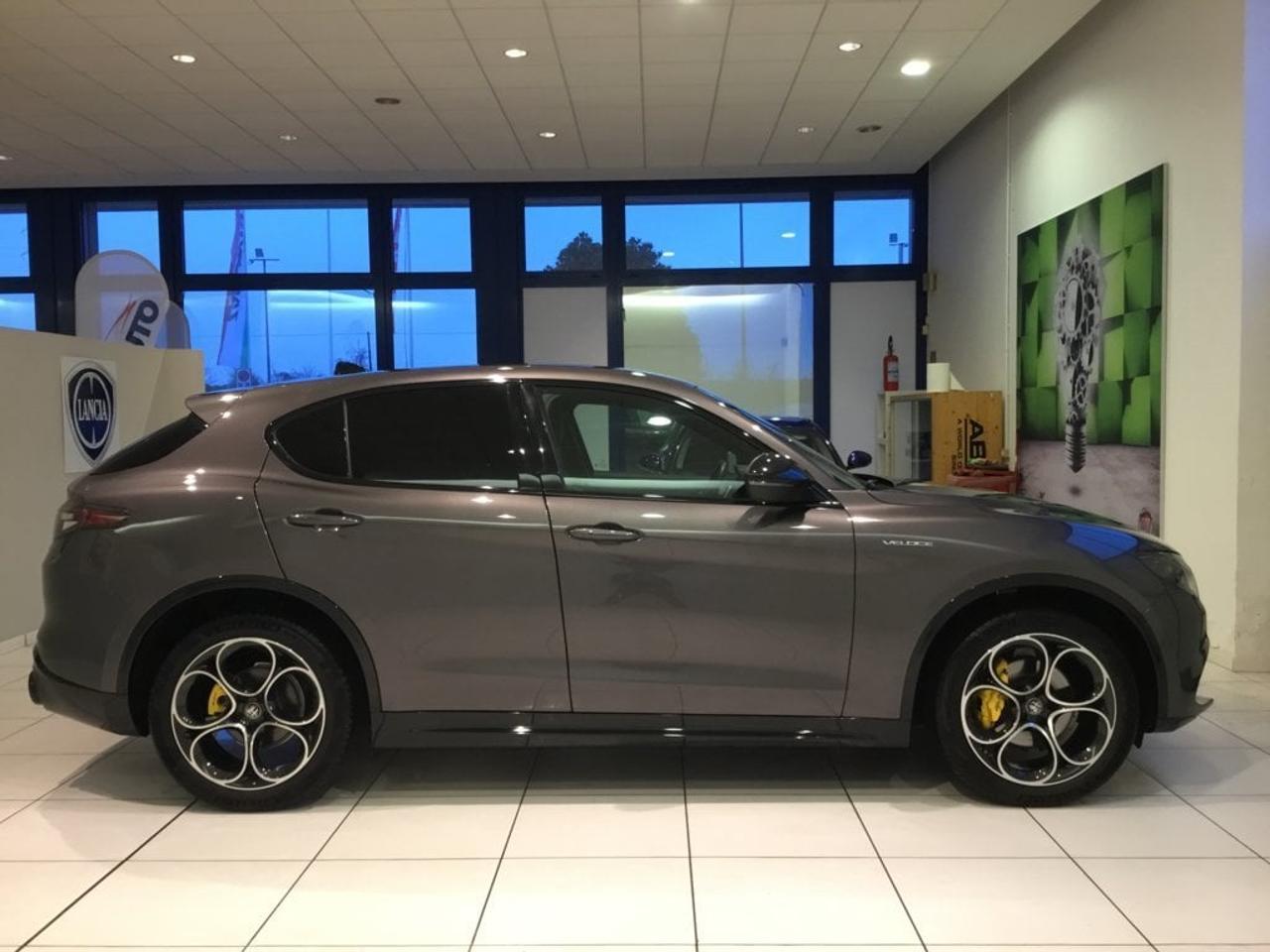 Alfa Romeo Alfa Romeo Stelvio usata 7