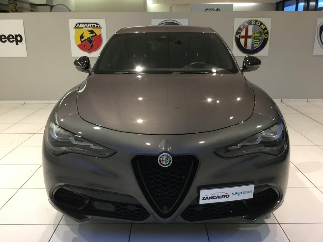 Alfa Romeo Alfa Romeo Stelvio usata 9