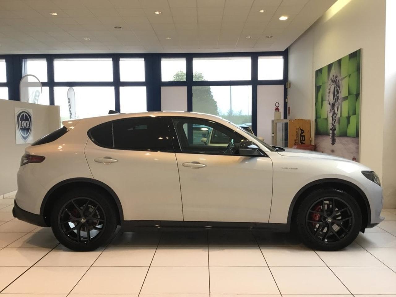 Alfa Romeo Alfa Romeo Stelvio usata 7