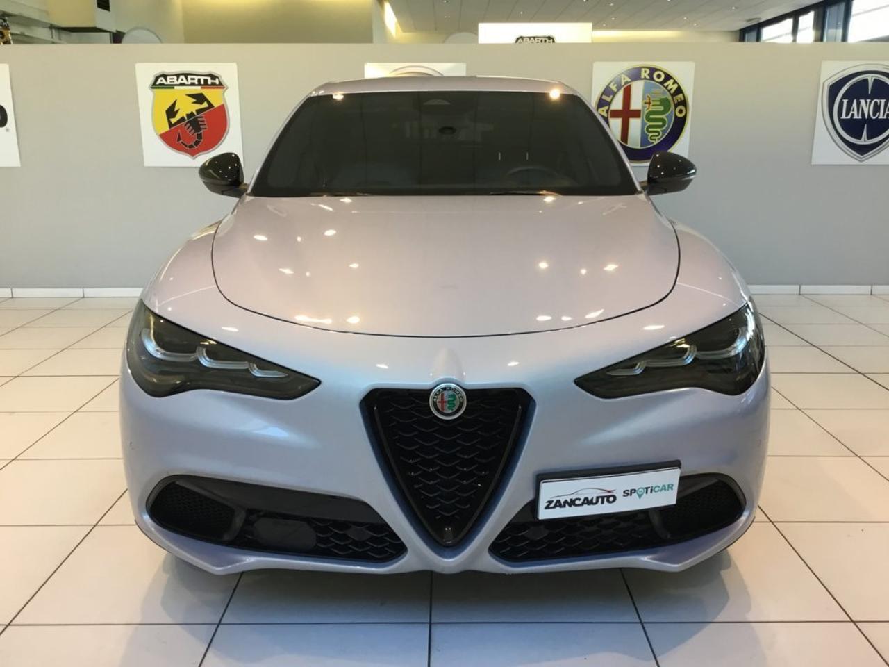 Alfa Romeo Alfa Romeo Stelvio usata 9