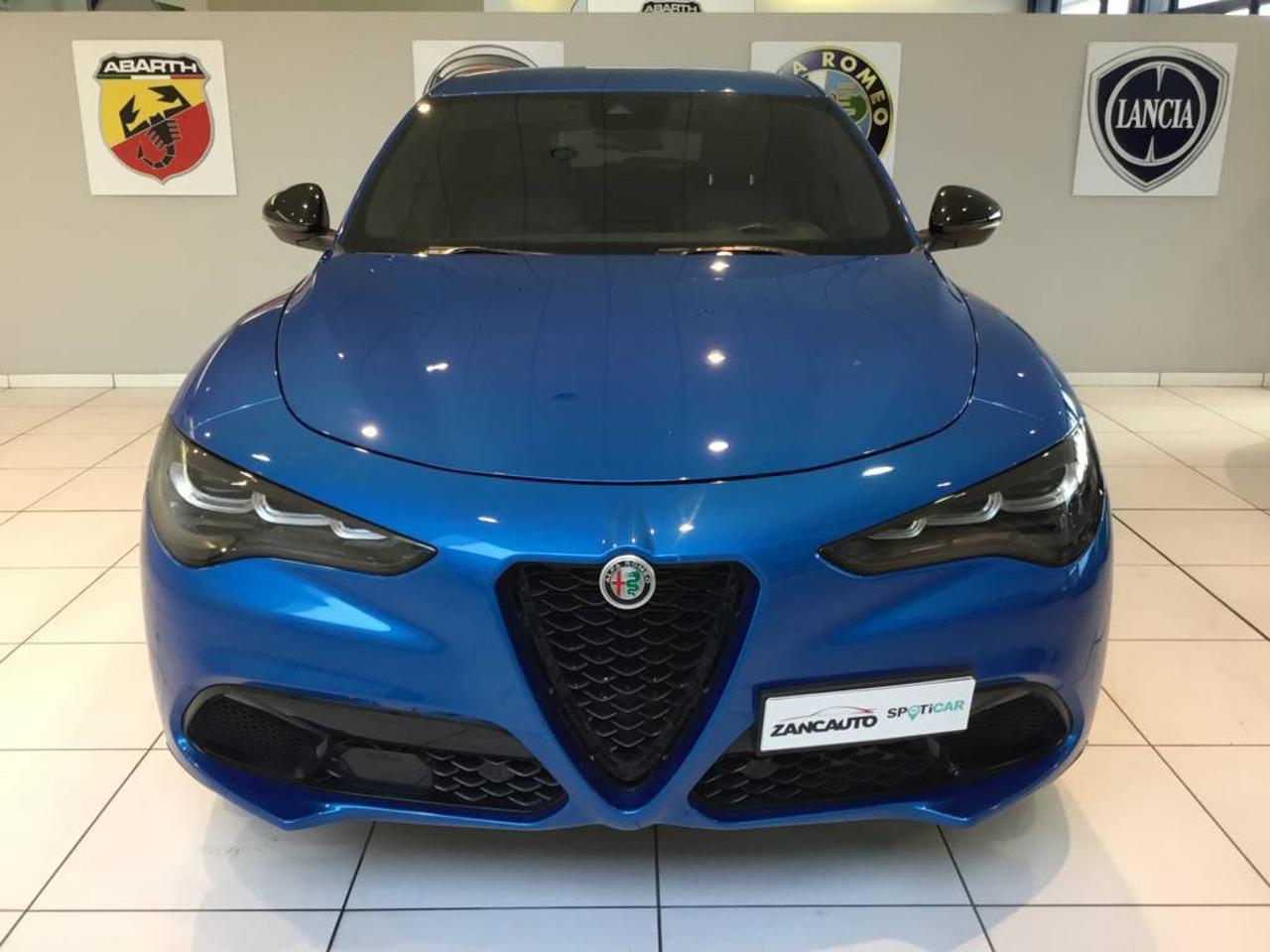 Alfa Romeo Alfa Romeo Stelvio usata 9