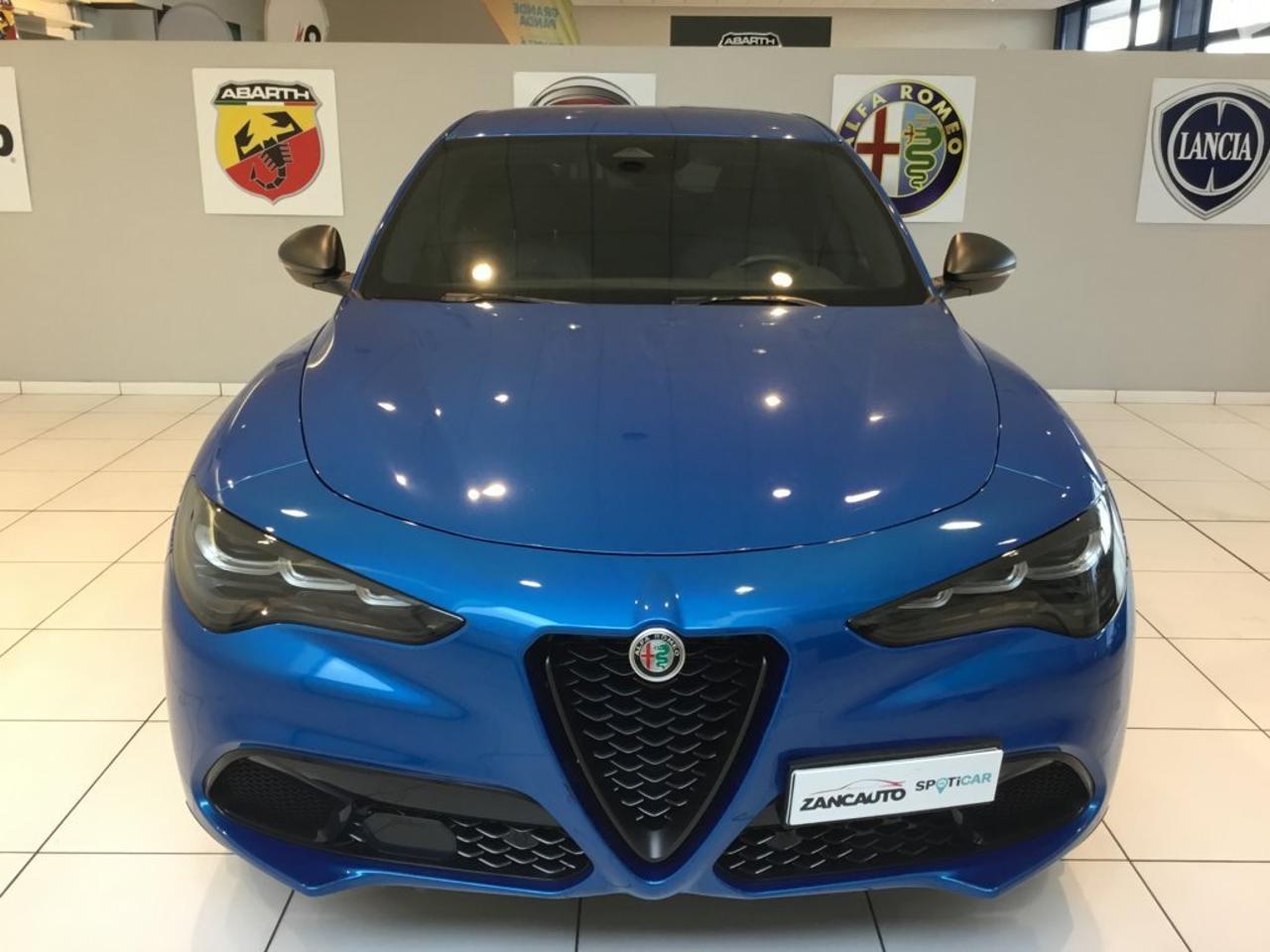 Alfa Romeo Alfa Romeo Stelvio usata 11