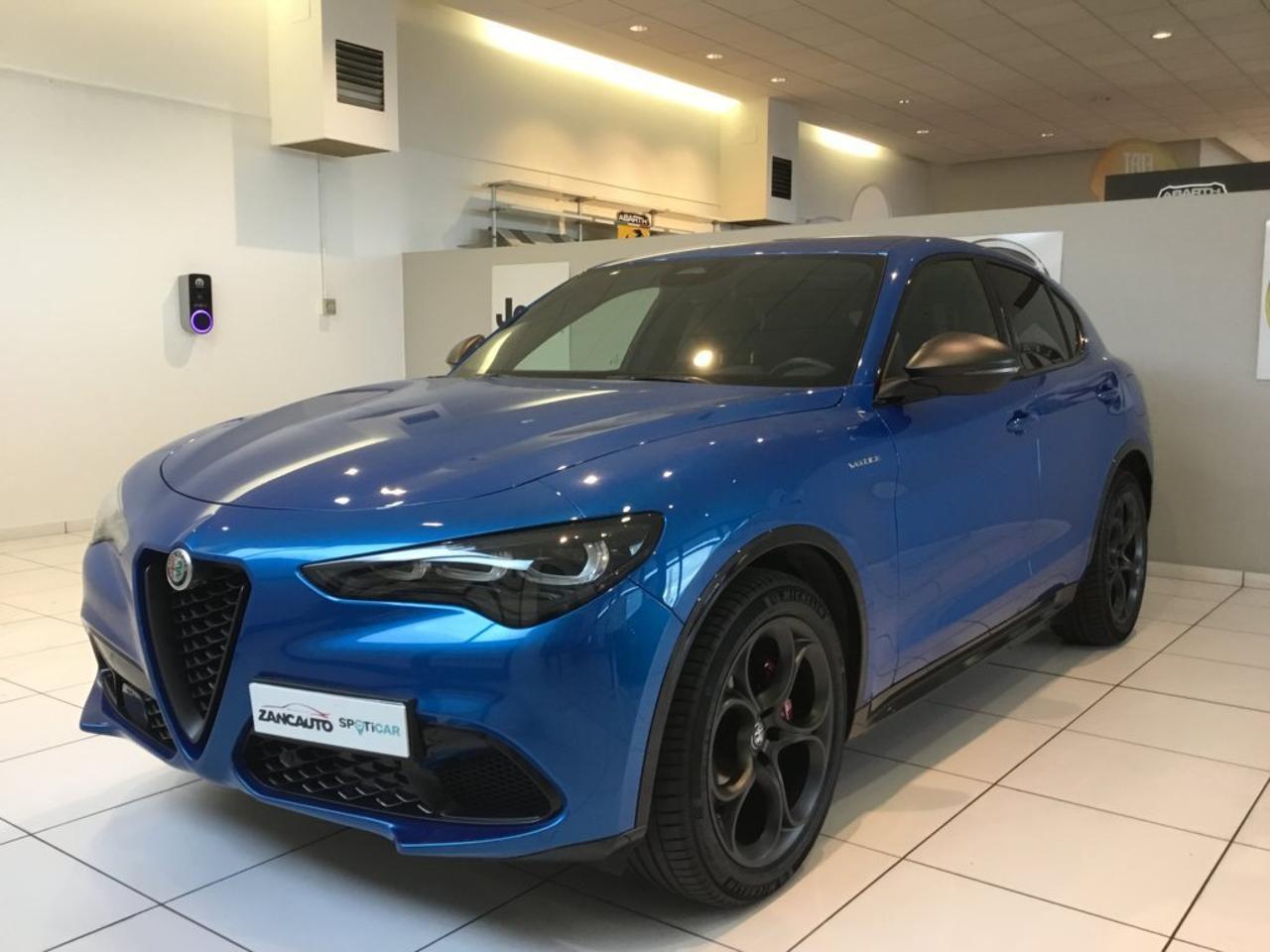 Alfa Romeo Alfa Romeo Stelvio usata 12