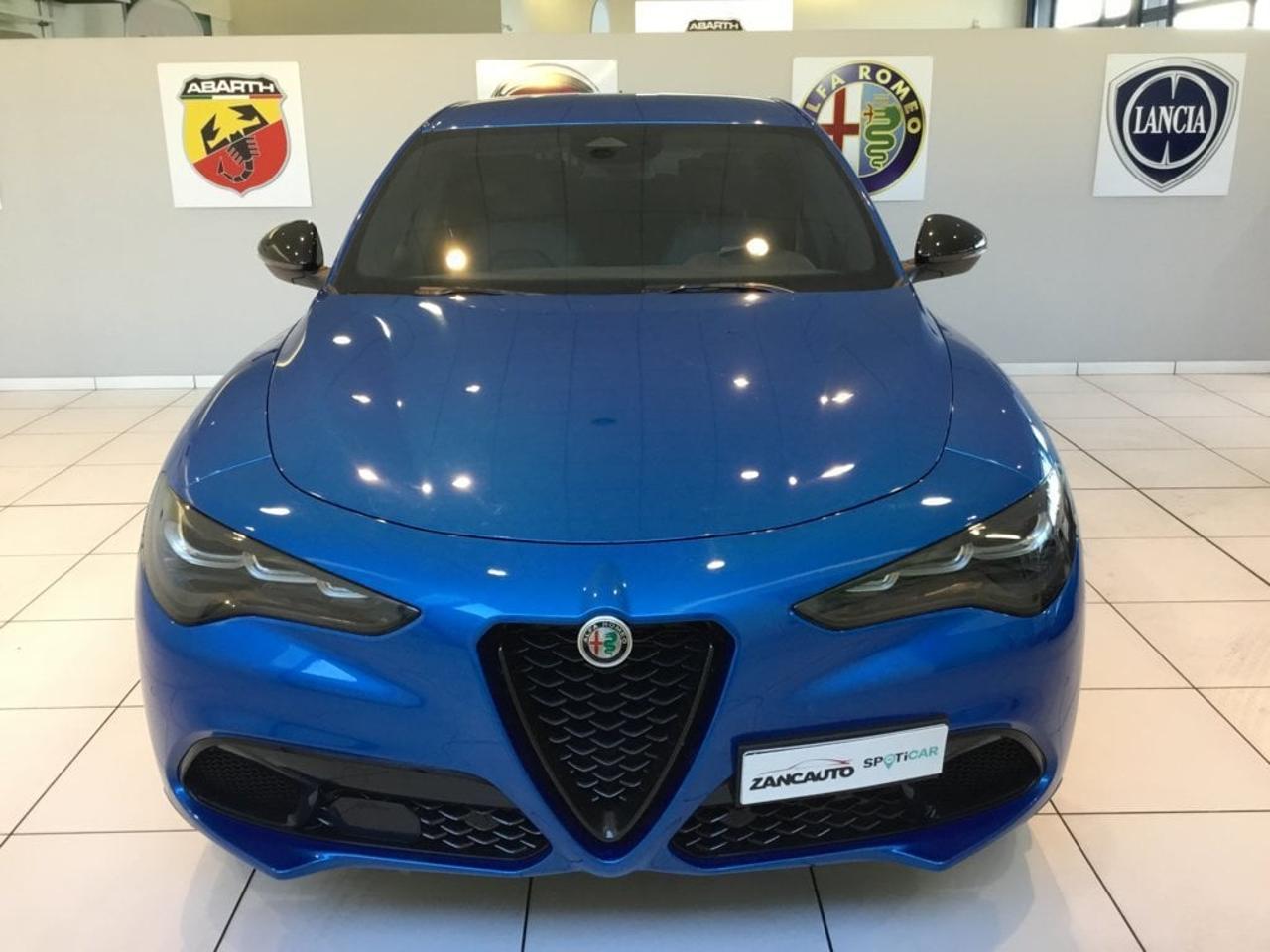 Alfa Romeo Alfa Romeo Stelvio usata 9