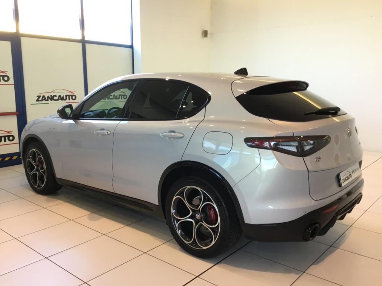 Alfa Romeo Alfa Romeo Stelvio usata 11