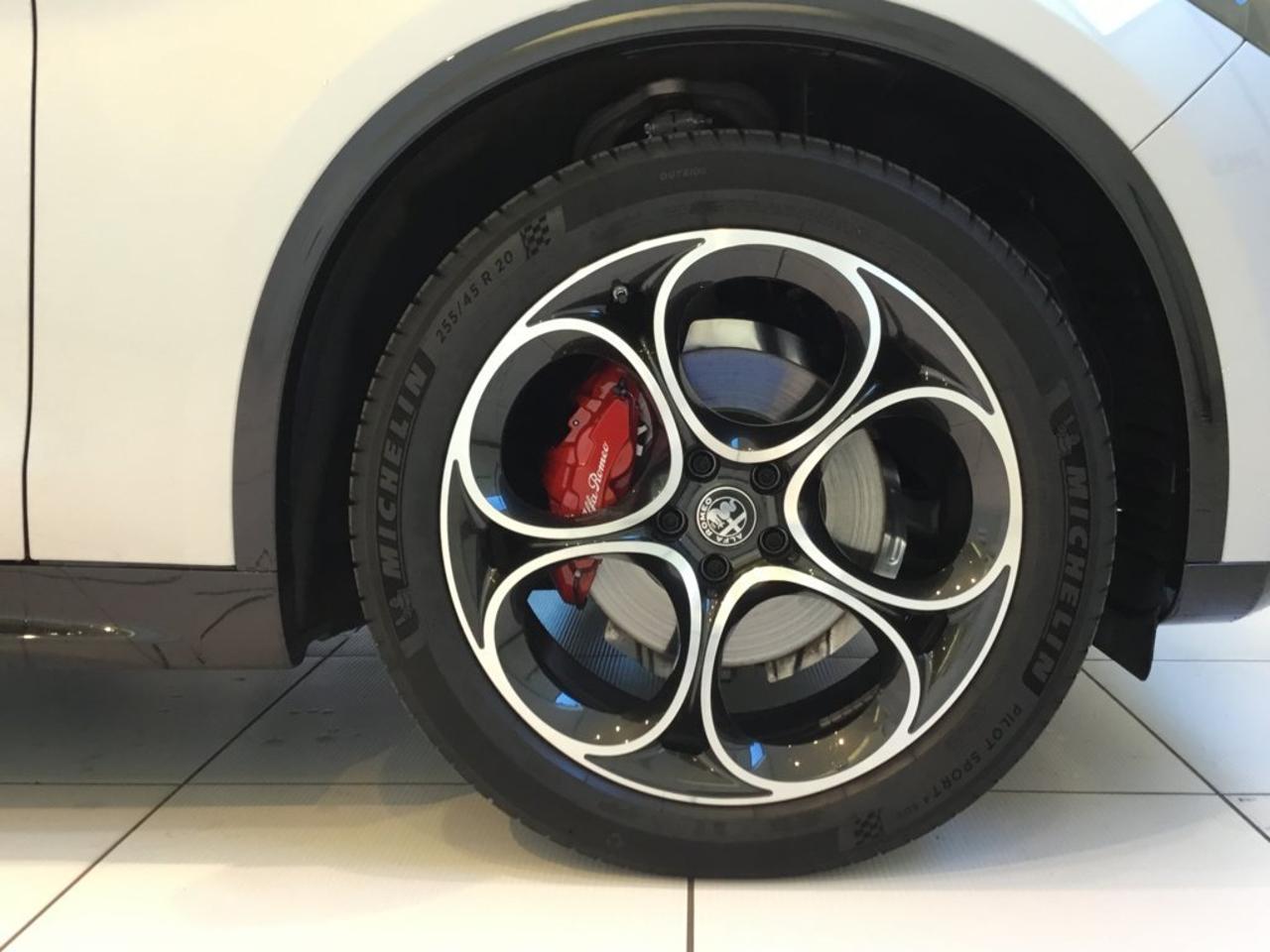Alfa Romeo Alfa Romeo Stelvio usata 14
