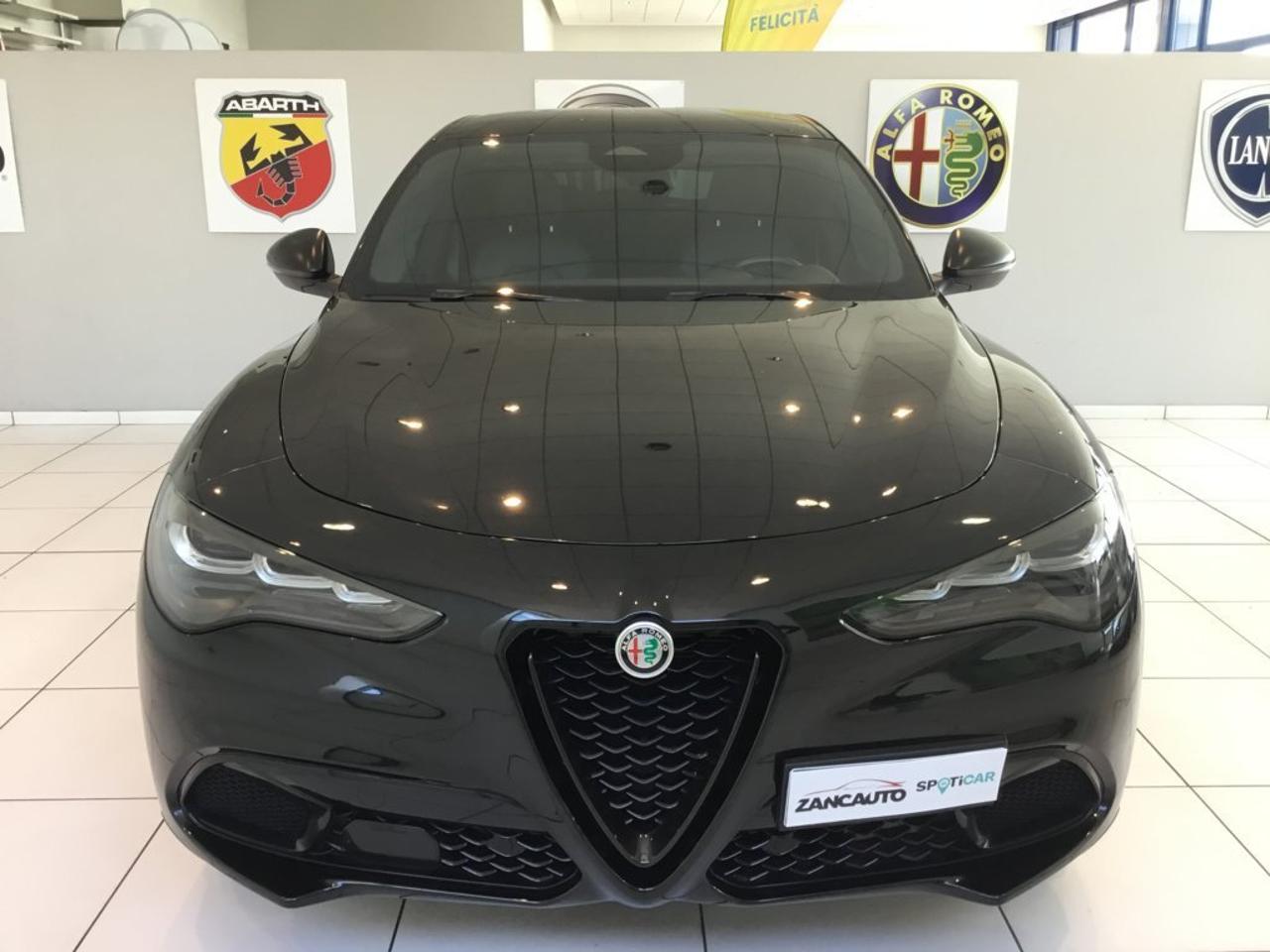 Alfa Romeo Alfa Romeo Stelvio usata 14