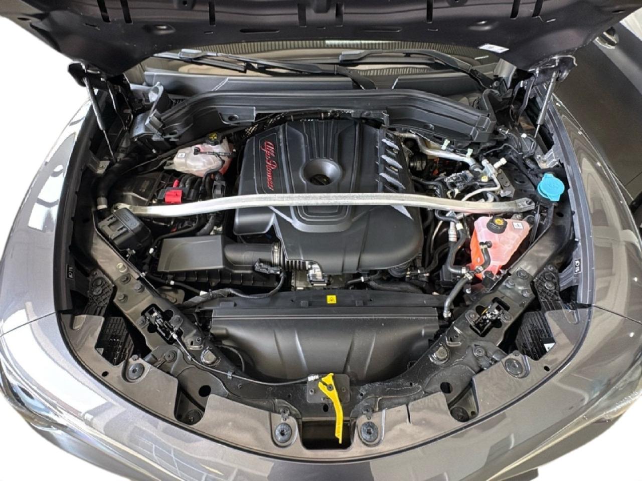 Alfa Romeo Alfa Romeo Stelvio usata 4