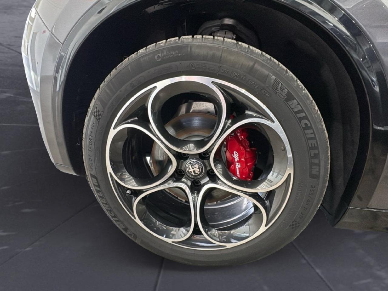 Alfa Romeo Alfa Romeo Stelvio usata 6