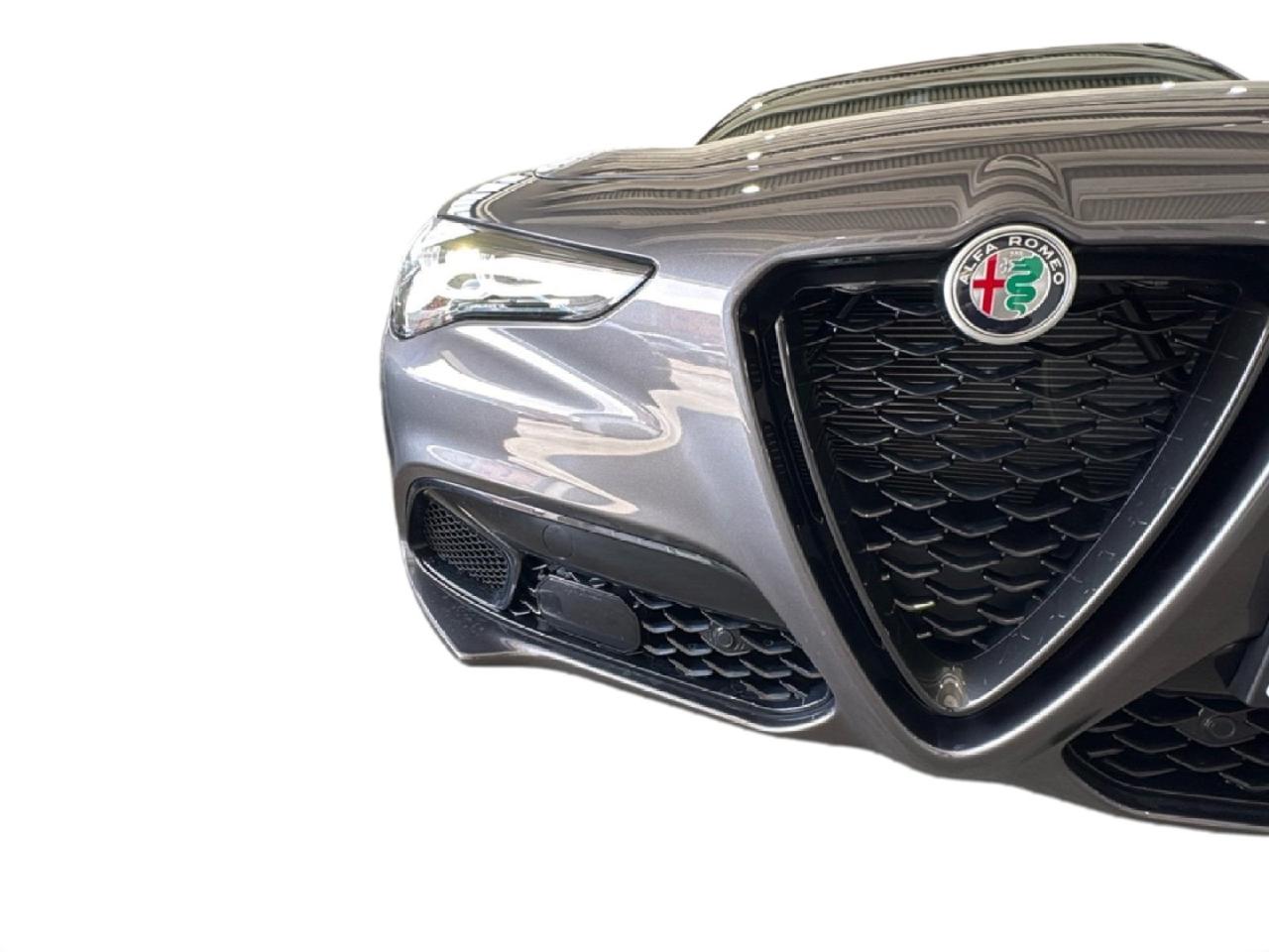 Alfa Romeo Alfa Romeo Stelvio usata 7