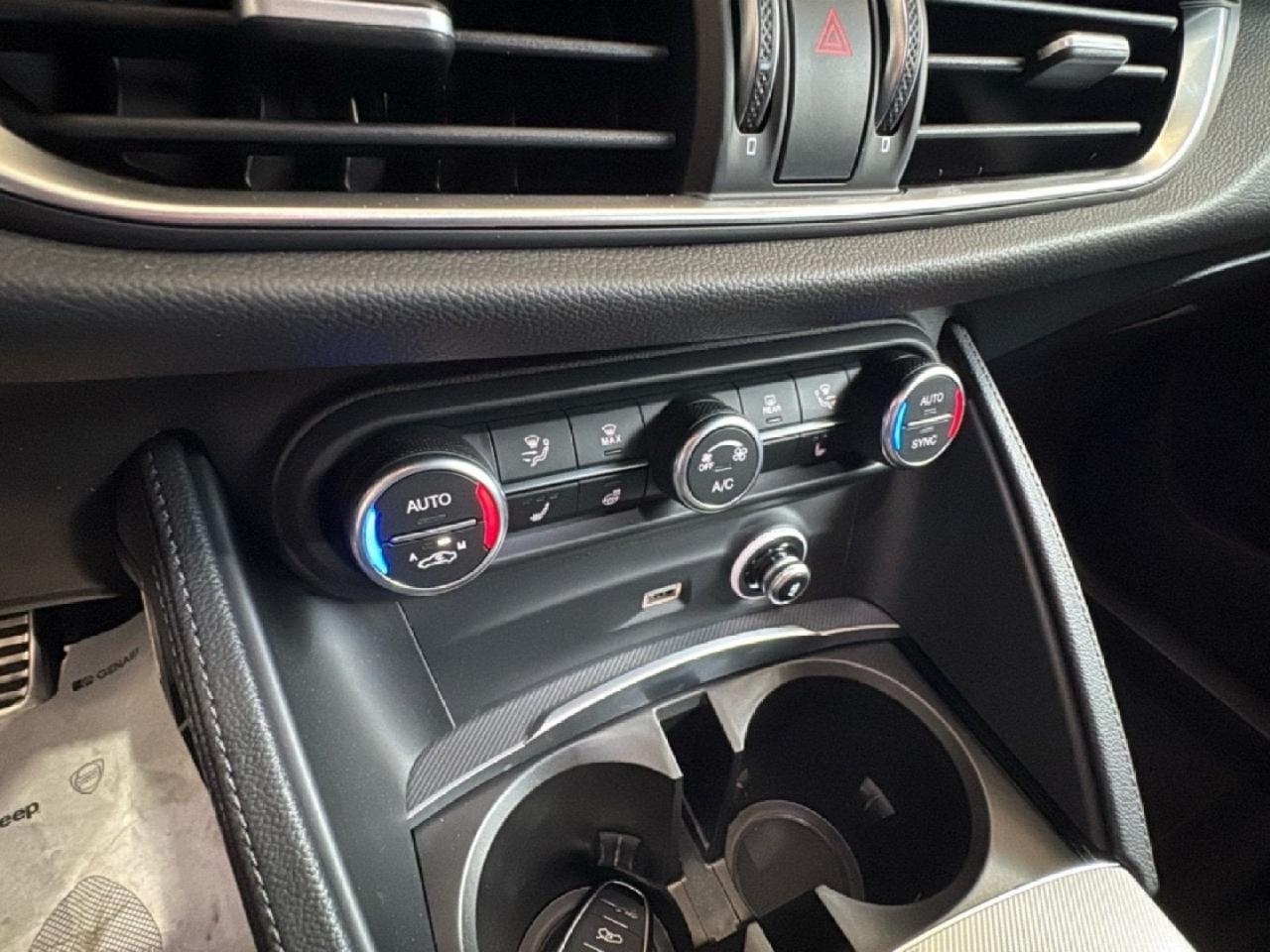 Alfa Romeo Alfa Romeo Stelvio usata 16