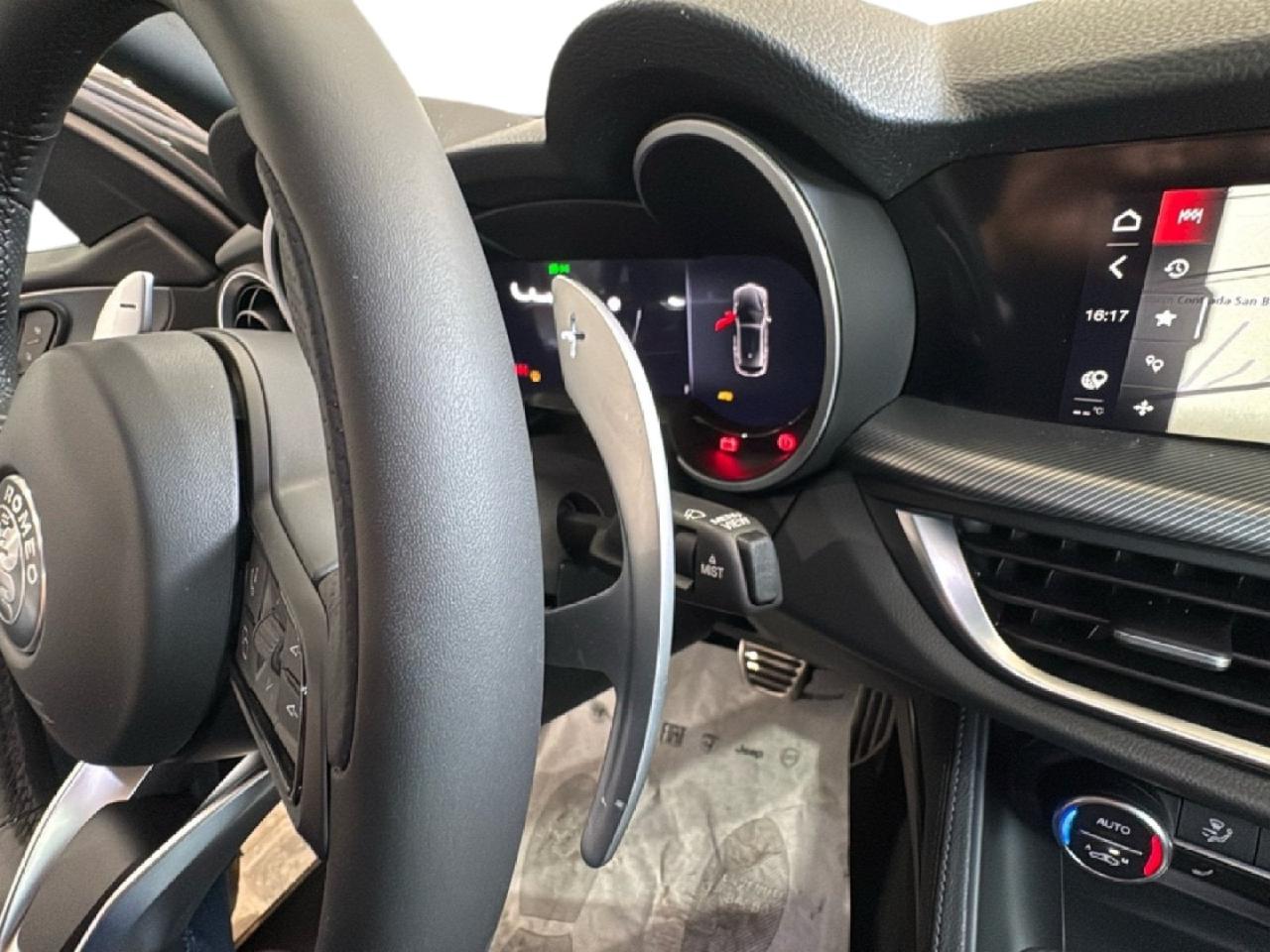 Alfa Romeo Alfa Romeo Stelvio usata 18