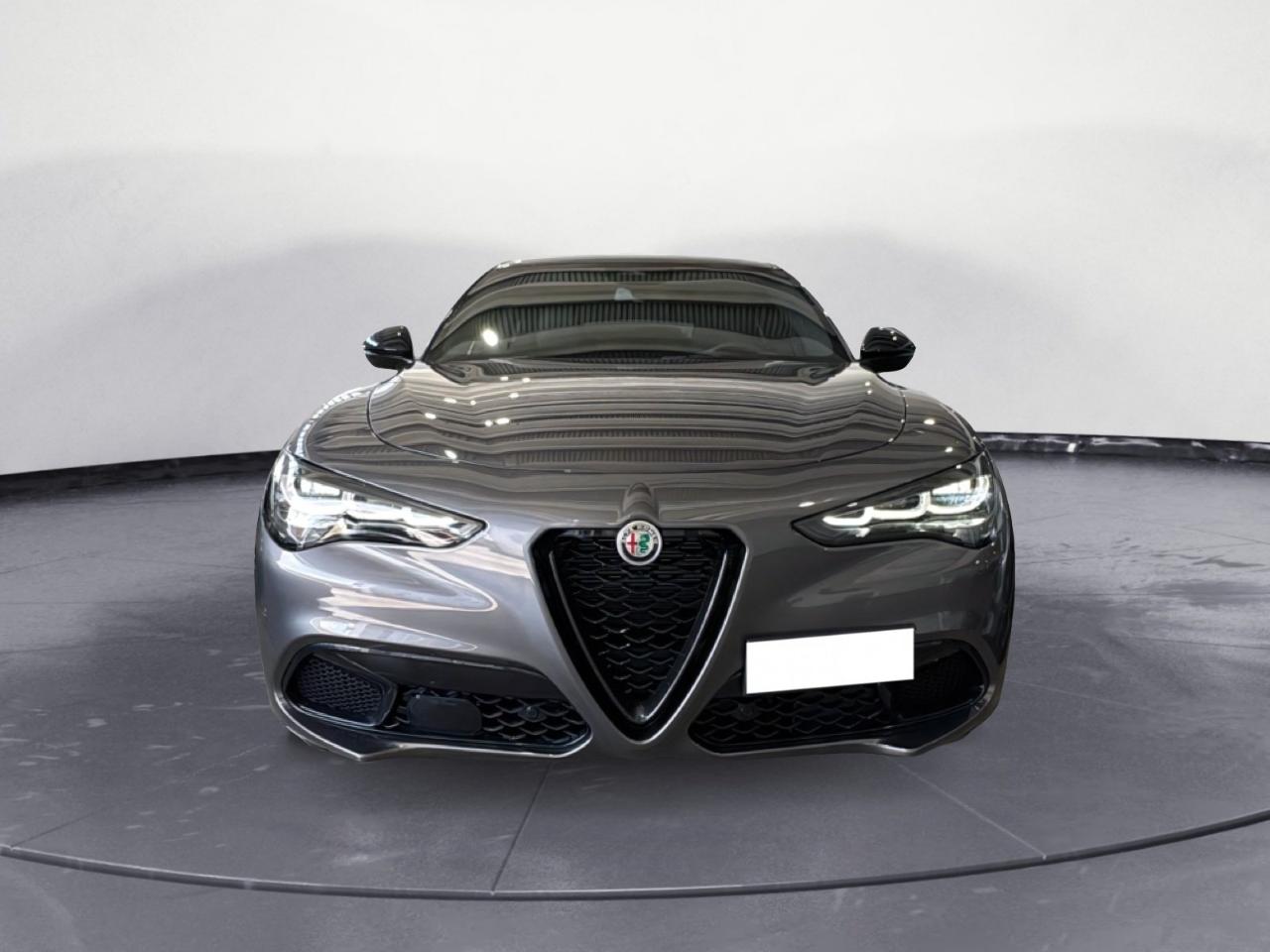 Alfa Romeo Alfa Romeo Stelvio usata 24