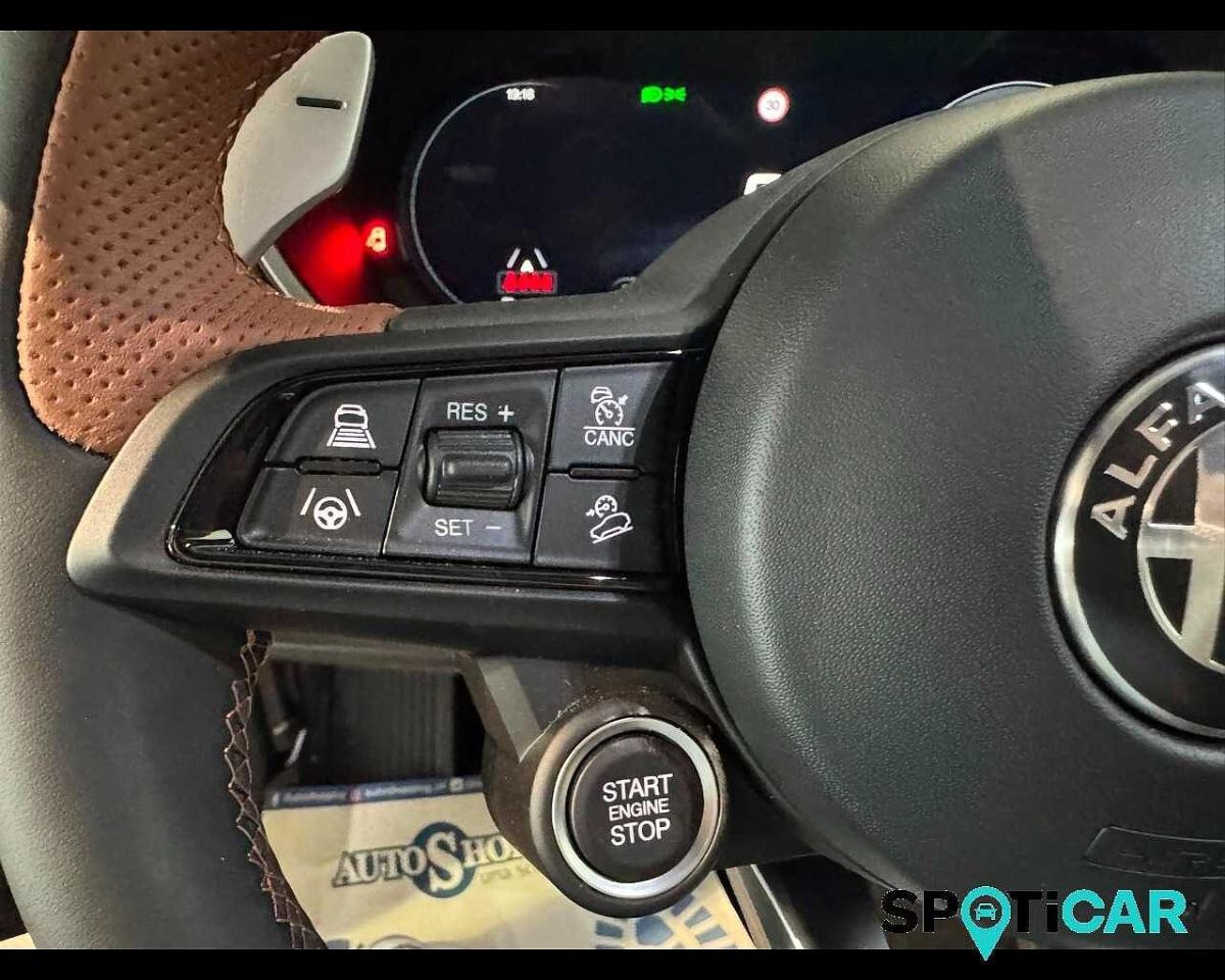 Alfa Romeo Alfa Romeo Stelvio usata 12