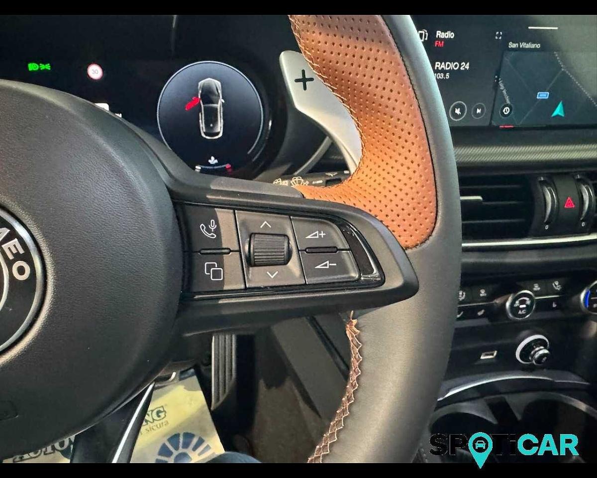 Alfa Romeo Alfa Romeo Stelvio usata 14
