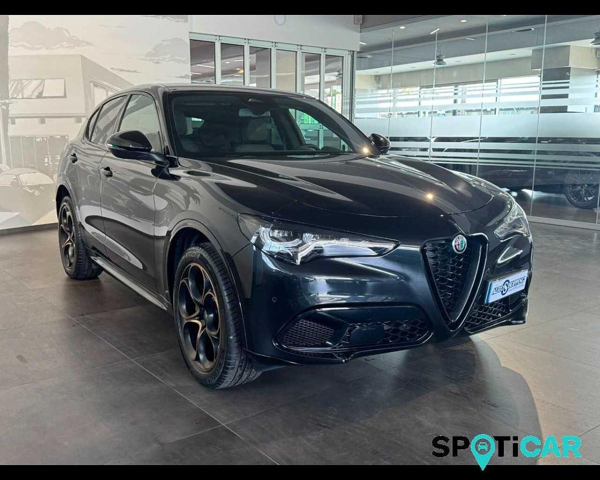 Alfa Romeo Alfa Romeo Stelvio usata 19