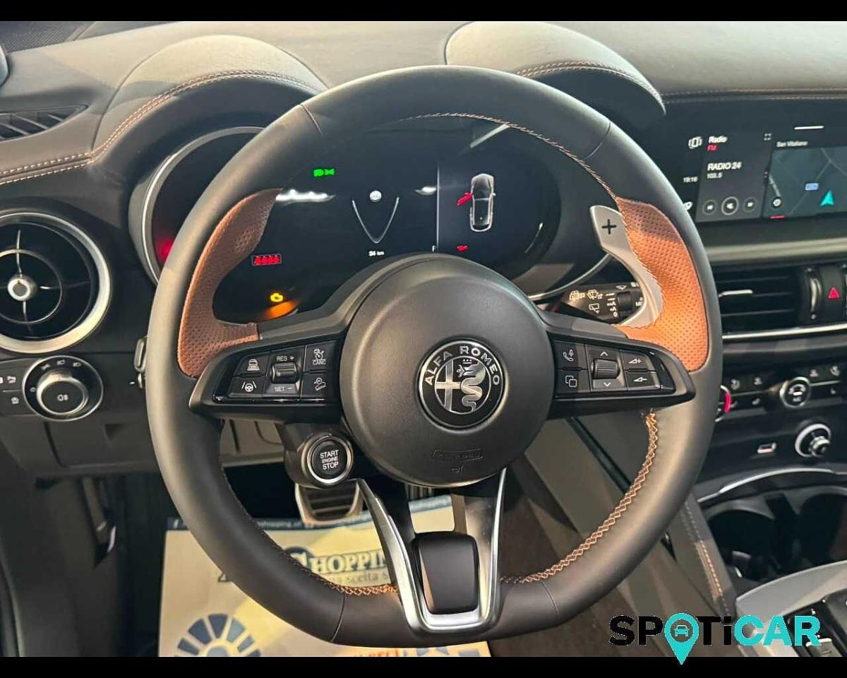 Alfa Romeo Alfa Romeo Stelvio usata 23