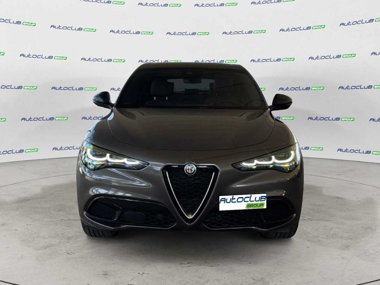 Alfa Romeo Alfa Romeo Stelvio usata 11