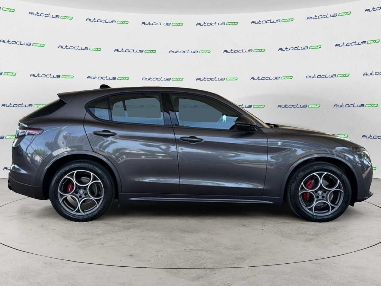 Alfa Romeo Alfa Romeo Stelvio usata 15