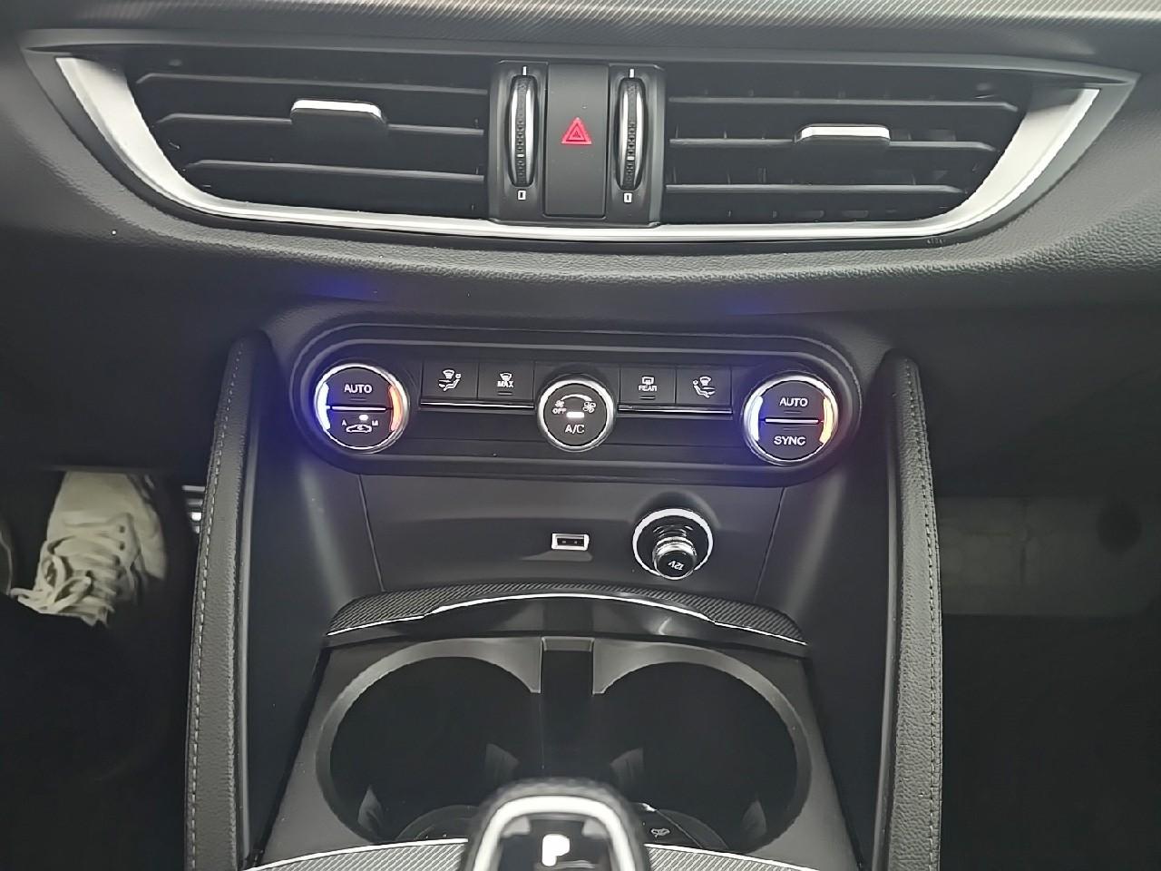 Alfa Romeo Alfa Romeo Stelvio usata, con Vetri Oscurati