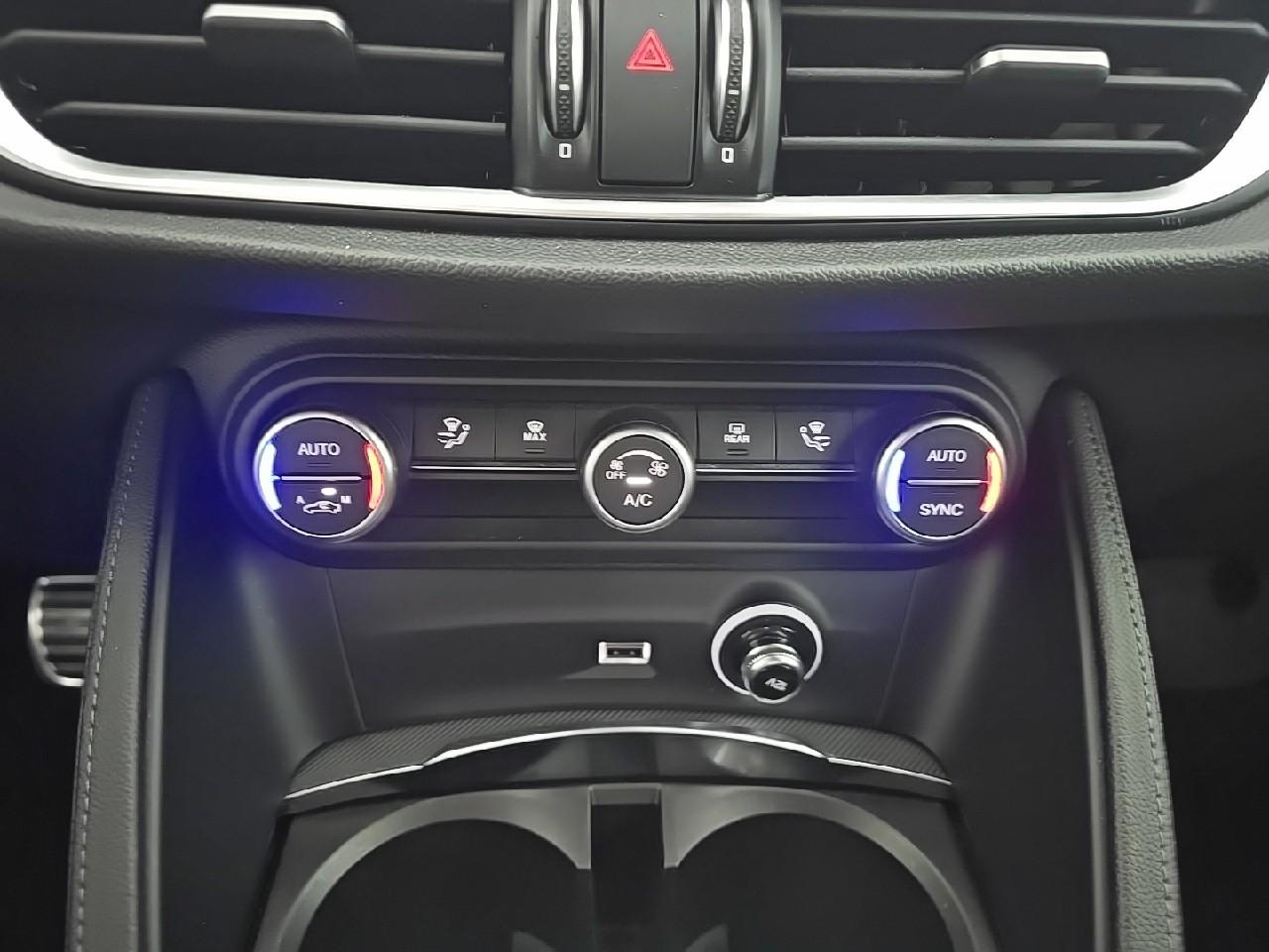 Alfa Romeo Alfa Romeo Stelvio usata, con Xenon-led